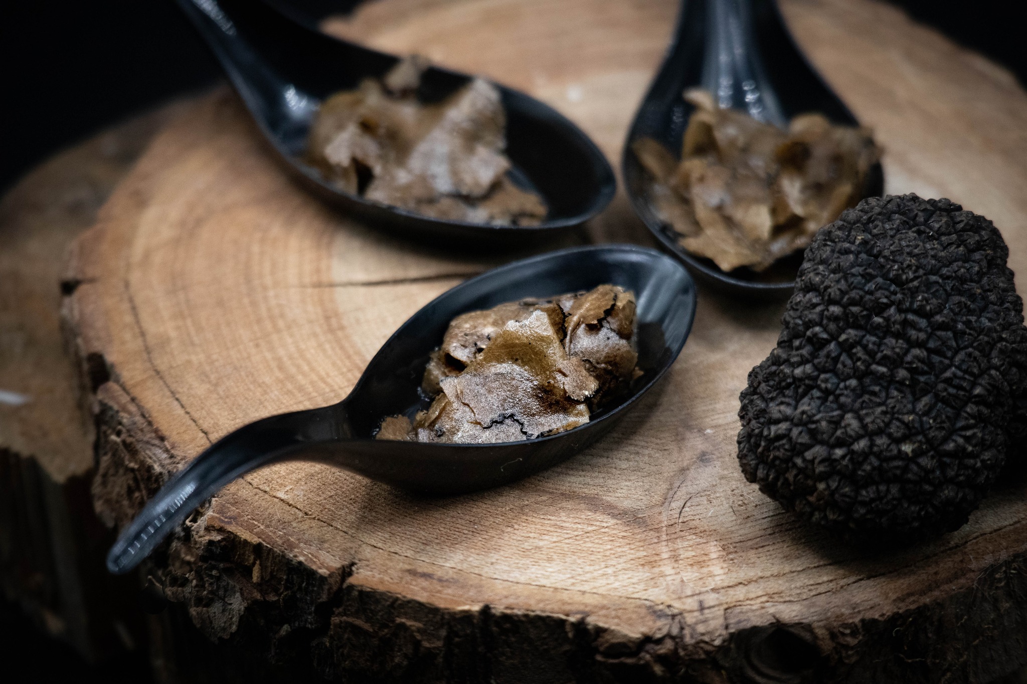 image actualités Bourgogne Escargot