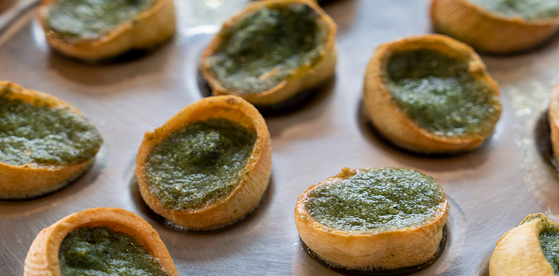 conseils-escargot