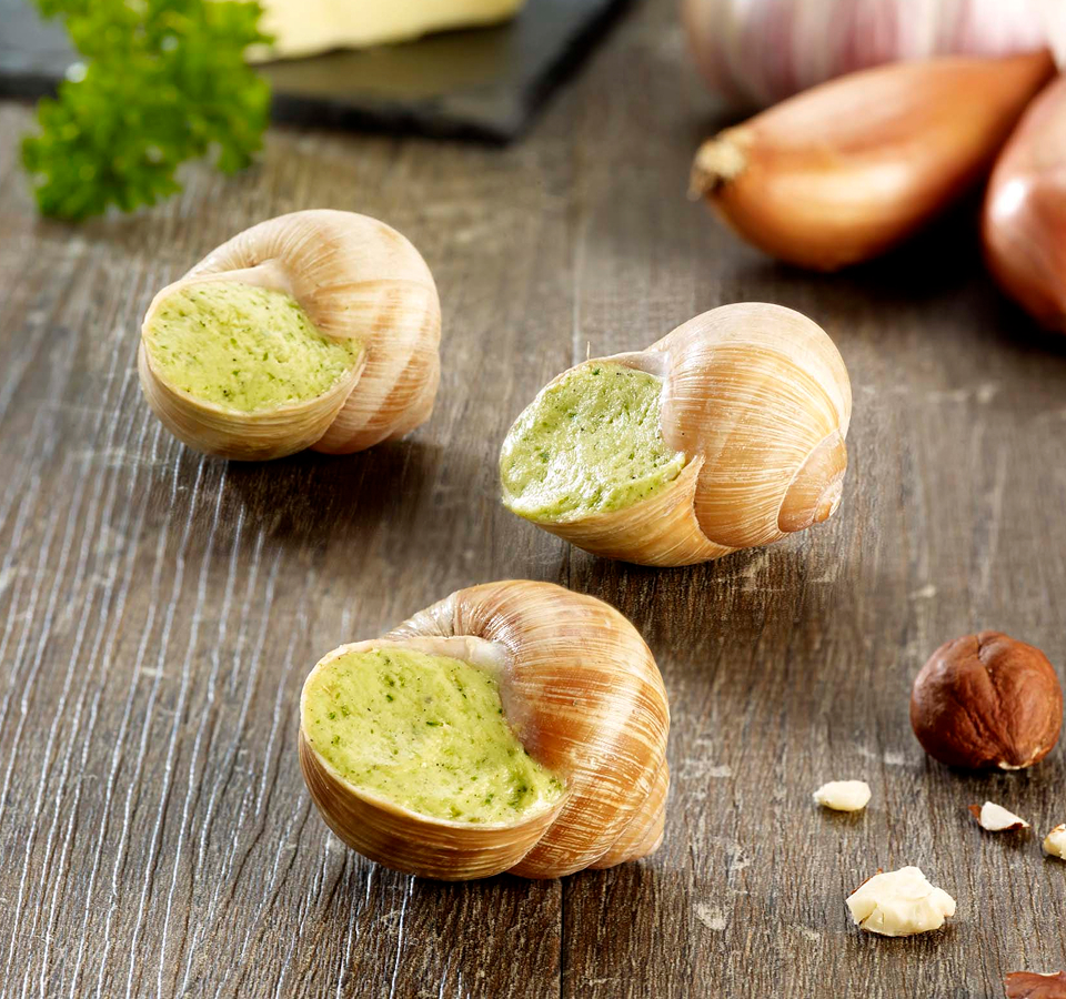 header-escargot-marques