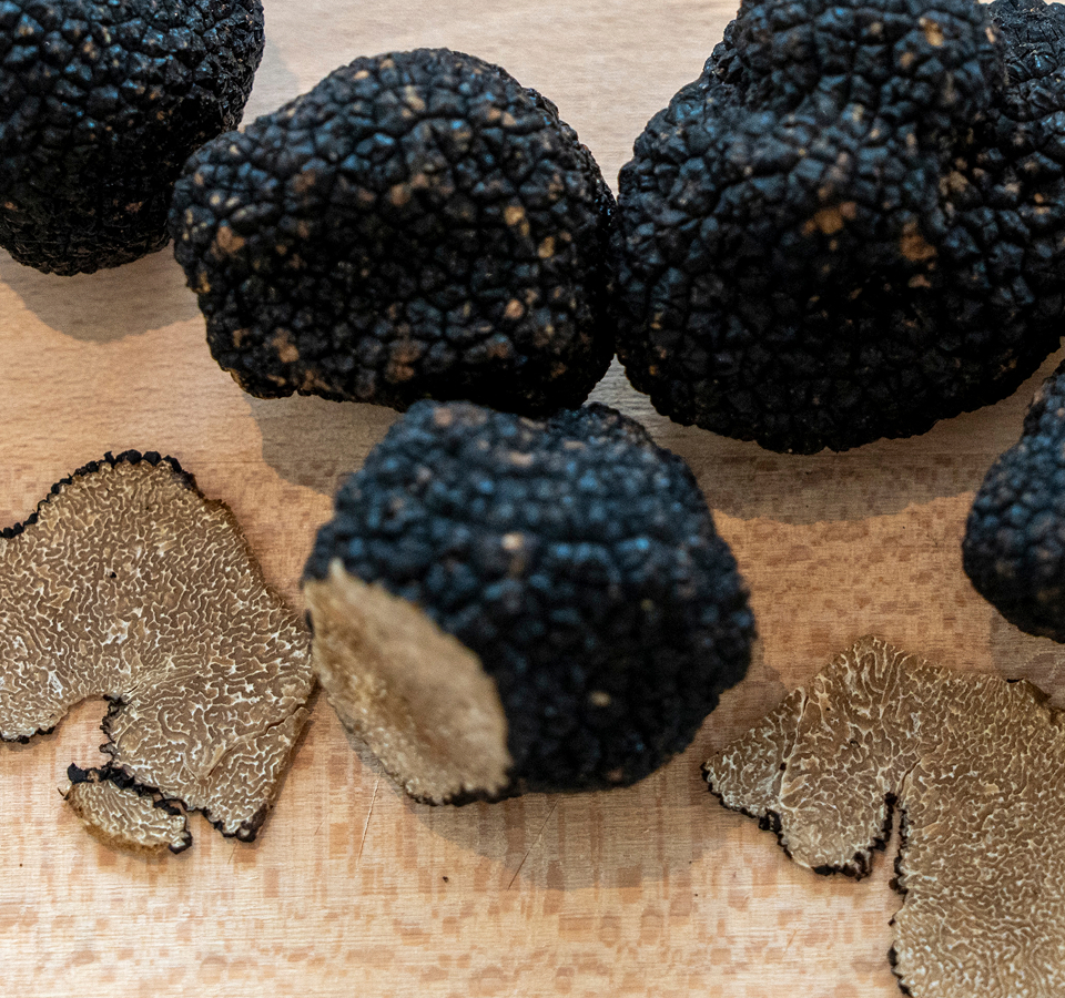 header-truffes