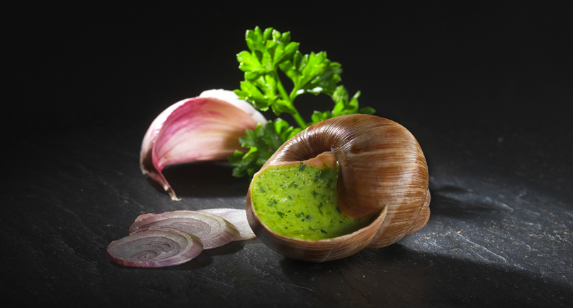 Photos escargot de bourgogne