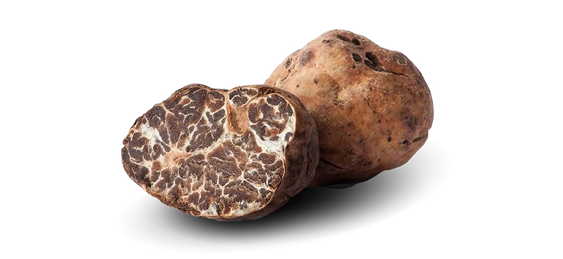 truffe bianchetto