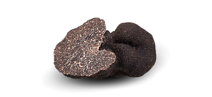 truffe noire